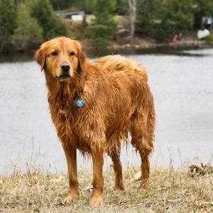 Meet your Posher, Frédéric